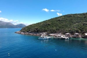 Da Dubrovnik: Tour privato in barca delle isole Elafiti di 4 ore