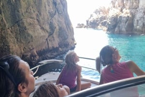 Fra Dubrovnik: 4-timers privat båttur til Elafiti-øyene