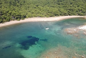 Fra Dubrovnik: 4-timers privat båttur til Elafiti-øyene