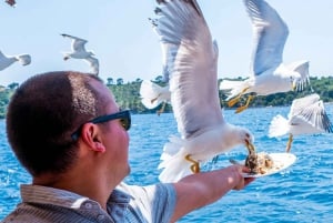 From Dubrovnik: Boat Tour to Kolocep, Lopud, & Sipan Islands