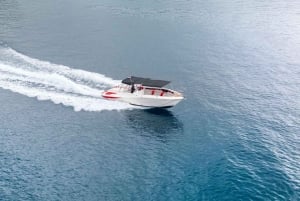 Dubrovnikista/Cavtatista: Sunj Beach Speed Boat Tour (pikavene)
