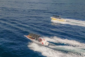 Depuis Dubrovnik/Cavtat : Grotte bleue, excursion en bateau rapide sur la plage de Sunj