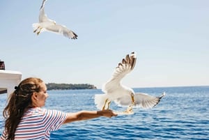 Ab Dubrovnik: Kreuzfahrt zur Insel Elaphite mit Mittagessen und Getränken