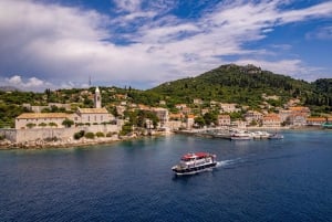 Ab Dubrovnik: Kreuzfahrt zur Insel Elaphite mit Mittagessen und Getränken