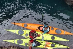 Au départ de Dubrovnik : Excursion en kayak et à vélo dans les îles Elaphiti