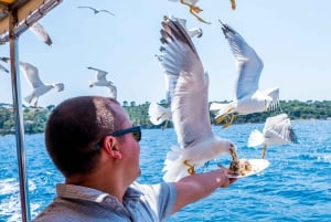 From Dubrovnik: Full Day Elaphite Islands Tour incl. Lunch