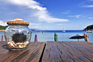 Z Dubrownika: Całodniowa prywatna wycieczka łodzią na wyspę Elafiti