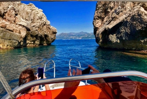 Z Dubrownika: Całodniowa prywatna wycieczka łodzią na wyspę Elafiti