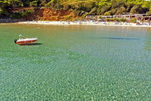 Z Dubrownika: Całodniowa prywatna wycieczka łodzią na wyspę Elafiti