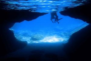 Z Dubrownika: Całodniowa prywatna wycieczka łodzią na wyspę Elafiti