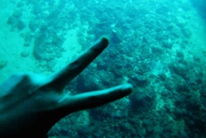 Z Dubrownika: Całodniowa prywatna wycieczka łodzią na wyspę Elafiti