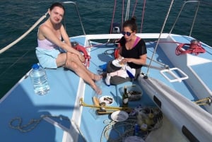 Desde Dubrovnik: Excursión de un día en velero a las islas Elafiti