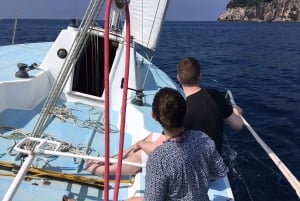 Desde Dubrovnik: Excursión de un día en velero a las islas Elafiti