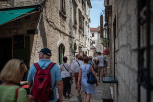 Kotor & Perast: Geführte Tagestour von Dubrovnik aus