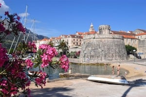 From Dubrovnik: Guided Tour of Pelješac & Korčula