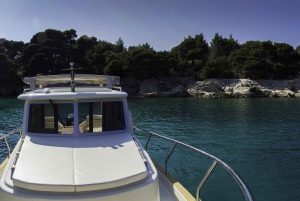 From Dubrovnik: Half-Day Private Boat Tour