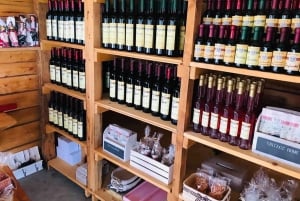 Z Dubrownika: półdniowa degustacja wina i wycieczka po mieście Cavtat