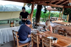 Ab Dubrovnik: Halbtagestour mit Weinverkostung und Stadtführung in Cavtat