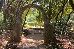 Vanuit Dubrovnik: Hop-on-hop-off-boot Elaphiti Eilanden Boottour