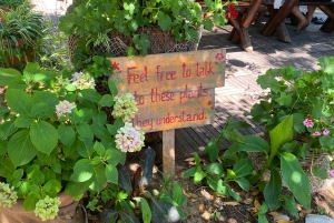 Vanuit Dubrovnik: Hop-on-hop-off-boot Elaphiti Eilanden Boottour