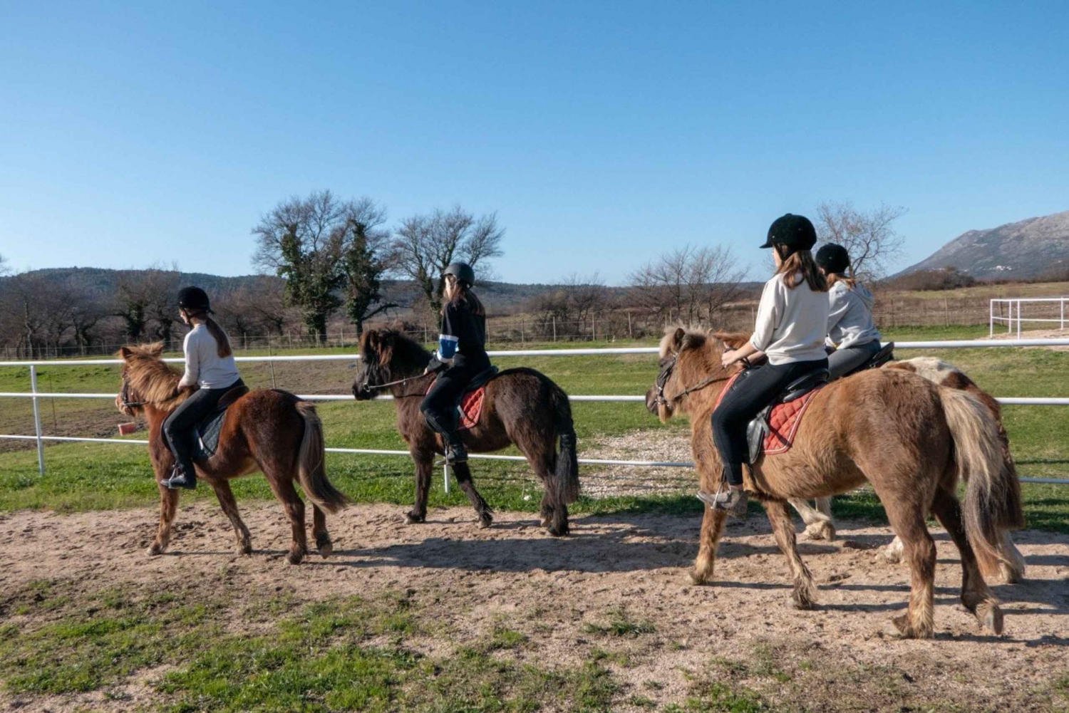 From Dubrovnik: Horseback Riding Day Tour in Konavle Valley