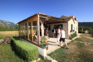 Z Dubrownika wycieczka z degustacją wina Konavle i Cavtat