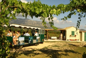 Z Dubrownika wycieczka z degustacją wina Konavle i Cavtat