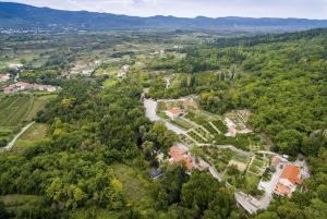 Z Dubrownika wycieczka z degustacją wina Konavle i Cavtat