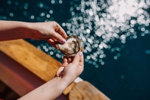 Dubrovnikista: Mali Stonin osteriviljelmä ja venekokemus