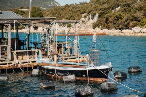 Da Dubrovnik: Mali Ston Oyster Paradise Tour con trasferimento