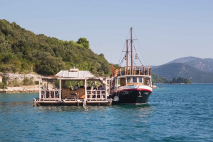 Dubrovnikista: Mali Ston Oyster Paradise Tour kuljetuksella