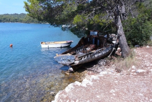 From Dubrovnik: Mljet Island Guided Catamaran Day Tour