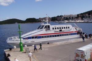 From Dubrovnik: Mljet Island Guided Catamaran Day Tour