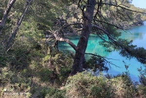Von Dubrovnik aus: Mljet Nationalpark & 3 Inseln Tour