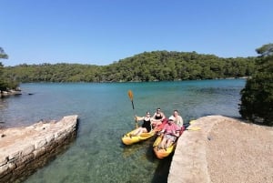 De Dubrovnik: Parque nacional de Mljet e passeio pelas 3 ilhas