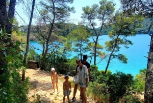Au départ de Dubrovnik : Parc national de Mljet et visite des 3 îles