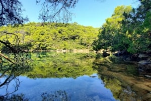 Fra Dubrovnik: Tur til Mljet nasjonalpark og 3 øyer