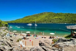 Fra Dubrovnik: Tur til Mljet nasjonalpark og 3 øyer