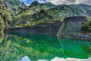 Fra Dubrovnik: Heldagstur langs kysten av Montenegro