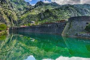 Fra Dubrovnik: Heldagstur langs kysten av Montenegro