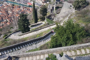 From Dubrovnik: Montenegro Coastline Private Tour