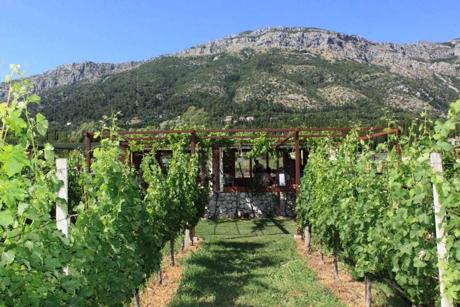 Från Dubrovnik Oyster and Wine Tasting Tour i Ston Bay