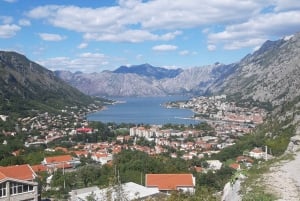 Från Dubrovnik: Dagstur med liten grupp till Perast, Kotor och Budva