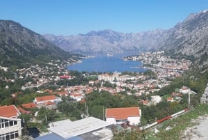 De Dubrovnik: Perast, Kotor e Budva - Excursão de um dia para grupos pequenos