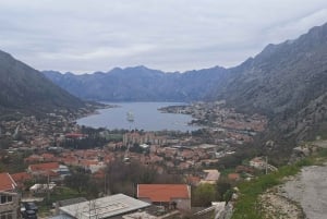 Från Dubrovnik: Dagstur med liten grupp till Perast, Kotor och Budva