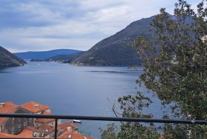 Da Dubrovnik: Escursione di un piccolo gruppo a Perast, Cattaro e Budva