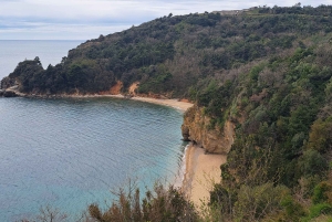 Da Dubrovnik: Escursione di un piccolo gruppo a Perast, Cattaro e Budva