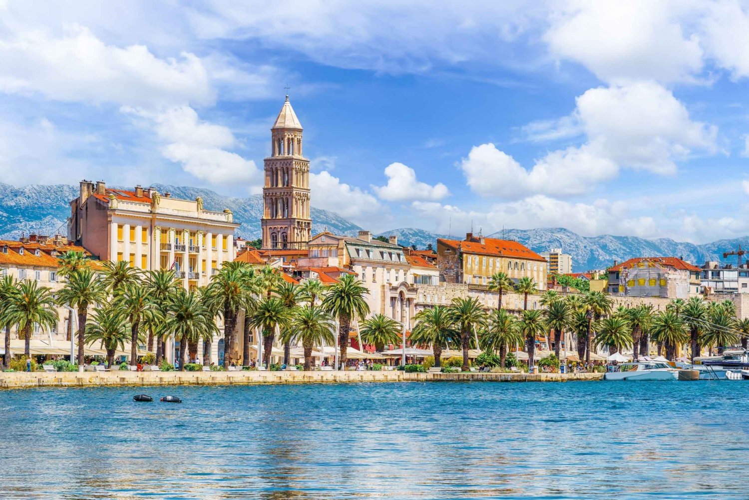 From Dubrovnik: Split Day Trip and City Tour
