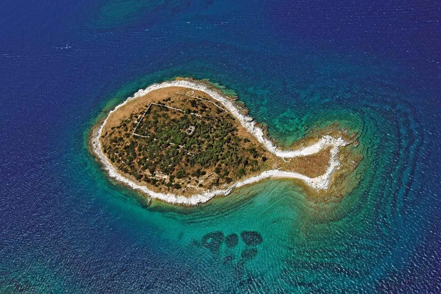 From Fazana: 14 islands of NP Brijuni with swimming