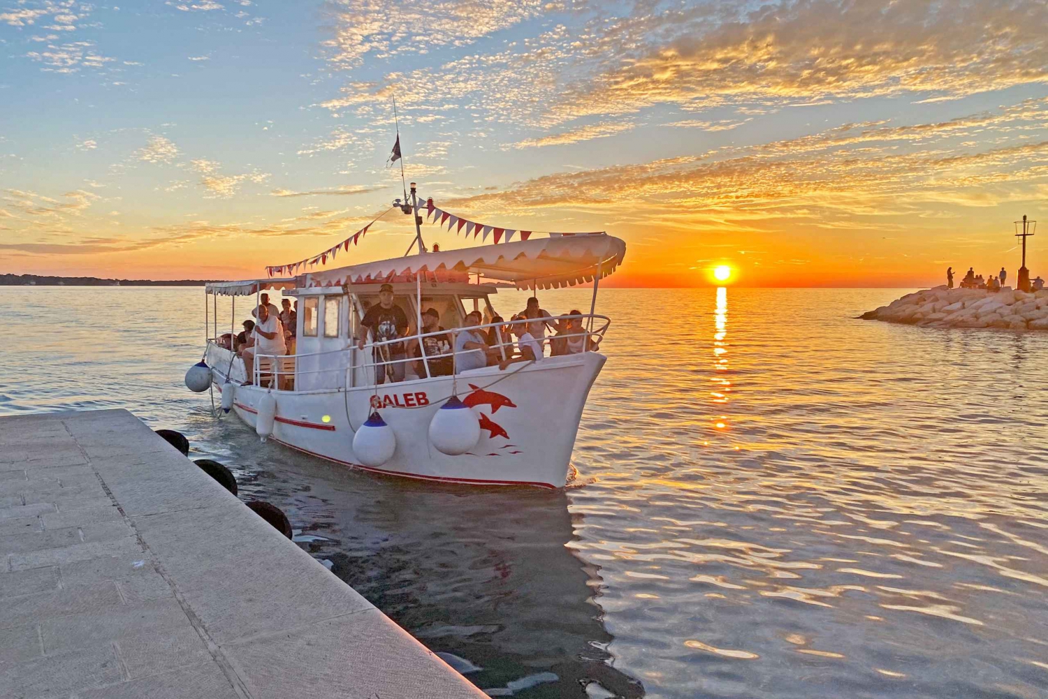 Ab Fažana: Delfin-Bootsfahrt zum Nationalpark Brijuni bei Sonnenuntergang